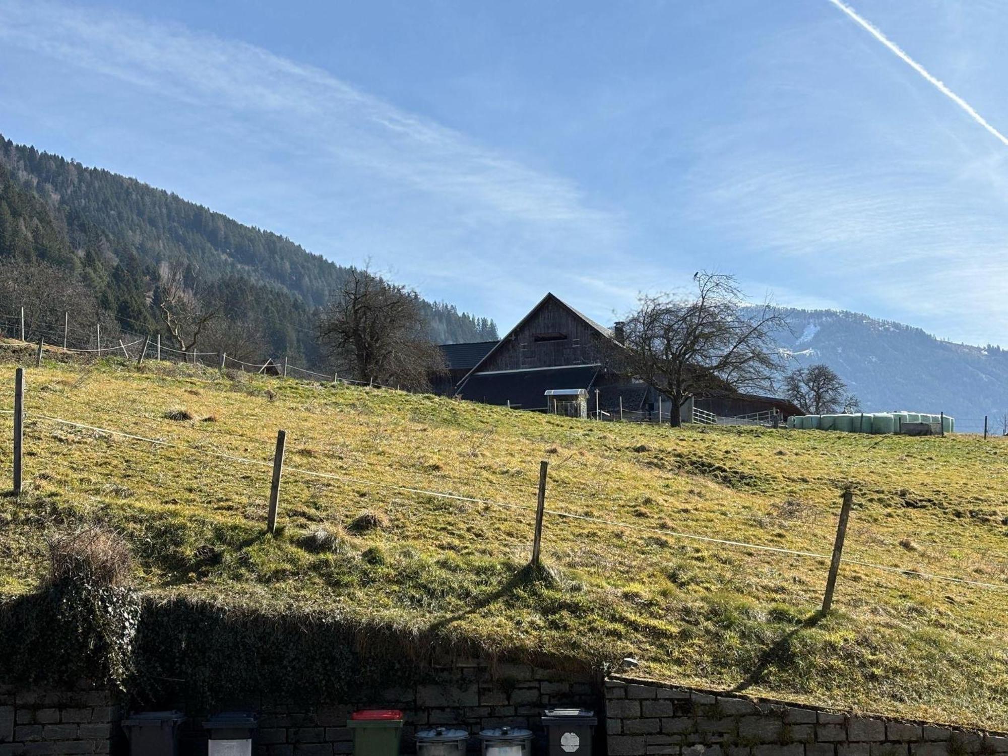 Moderne-Ferienwohnung-Nur-1Km-Vom-Millstaetter-See-In-Kaernten-Entfernt Милщат Екстериор снимка