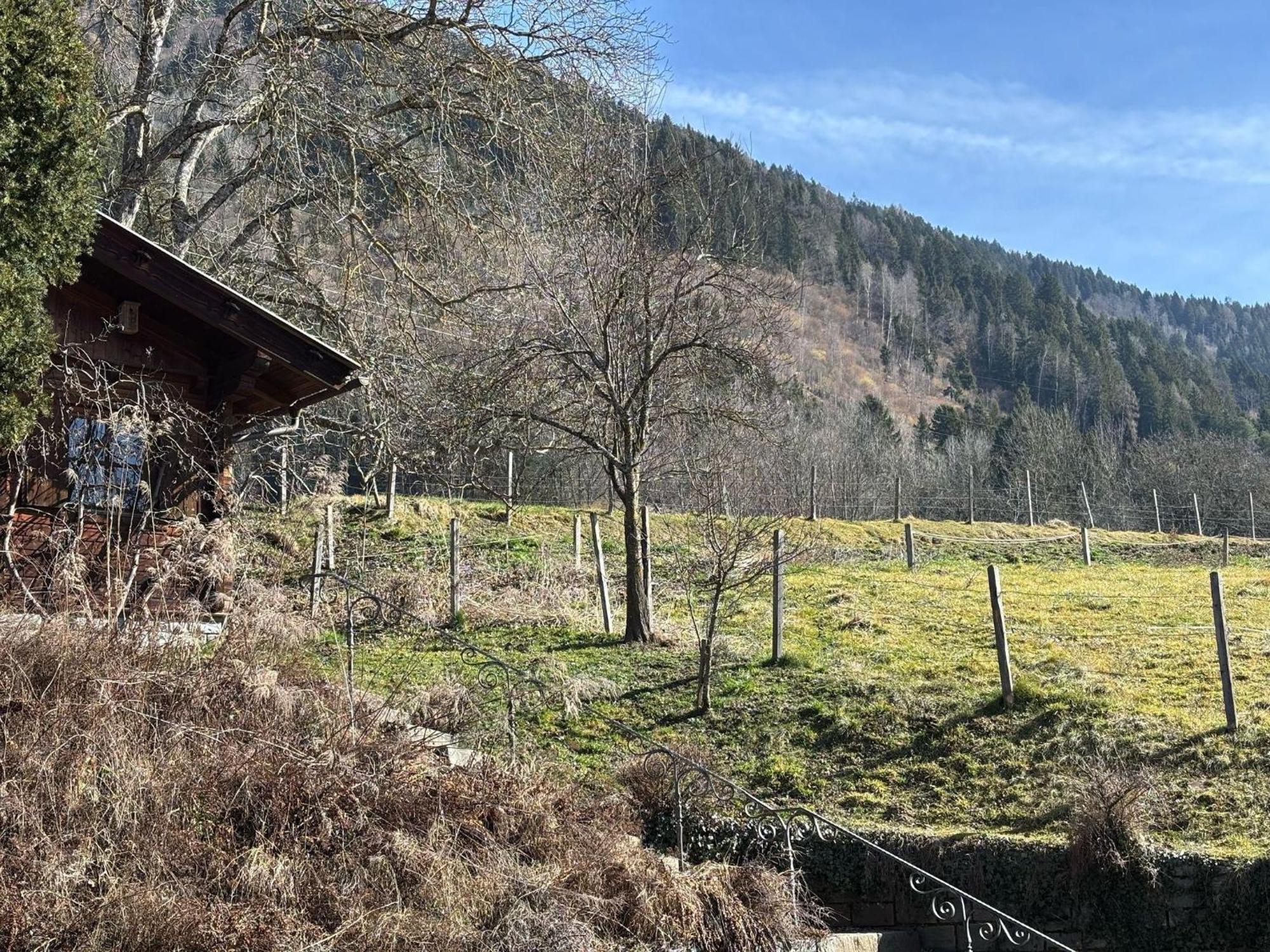 Moderne-Ferienwohnung-Nur-1Km-Vom-Millstaetter-See-In-Kaernten-Entfernt Милщат Екстериор снимка